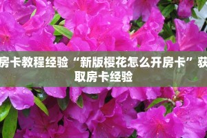 6秒盘点""乐酷大厅怎么买房卡""购买渠道"分享房卡给大家
