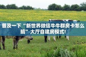 玩家必备教程""新琉璃大厅正版微信金花房卡""在哪里购买大厅房卡