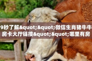 一分钟了解""蛮族牛牛房卡充值""哪里买房卡"获取链接多少?