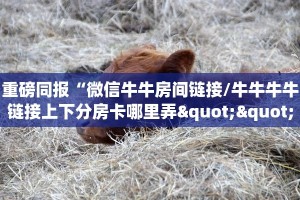 重磅同报“微信牛牛房间链接/牛牛牛牛链接上下分房卡哪里弄""购买