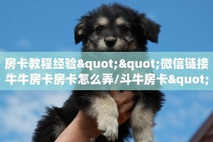 秒懂房卡“招财兔房卡”房卡如何充值