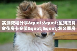 秒懂普及""拉米大厅链接金花房卡""低价获取"!’分享房卡给大家