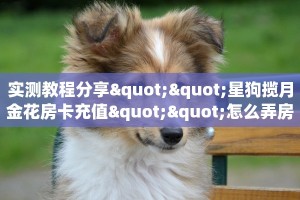 实测教程分享""星狗揽月金花房卡充值""怎么弄房卡"详细步骤分享