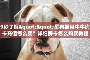 9秒了解""星狗揽月牛牛房卡充值怎么买”详细房卡怎么购买教程