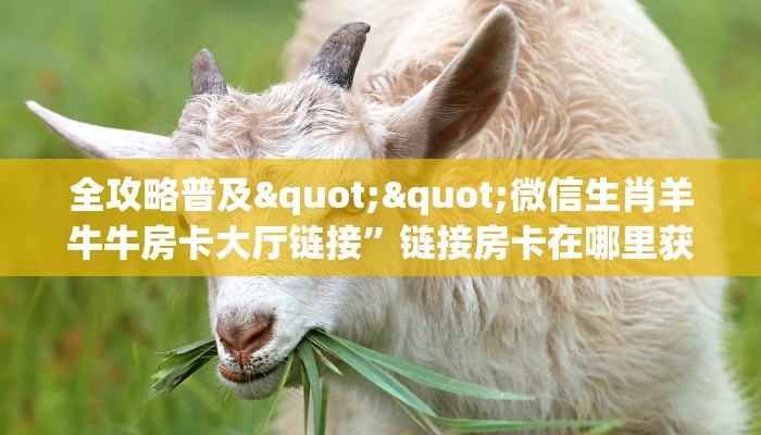 房卡教程经验“东游大厅房卡哪里充值”金花自建房模式!