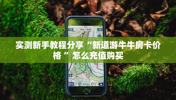 必备“西游联盟金花哪里充值房卡”牛牛金花自建房模式!