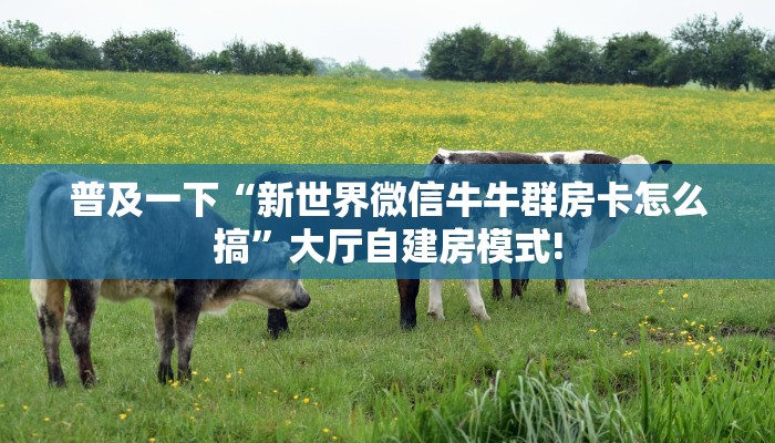 玩家必备教程""新琉璃大厅正版微信金花房卡""在哪里购买大厅房卡