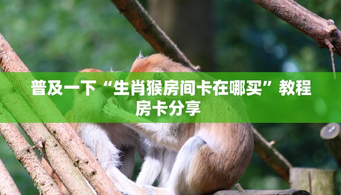 秒懂百科""微信金花房间游酷房卡充值""哪里买房卡"获取链接多少