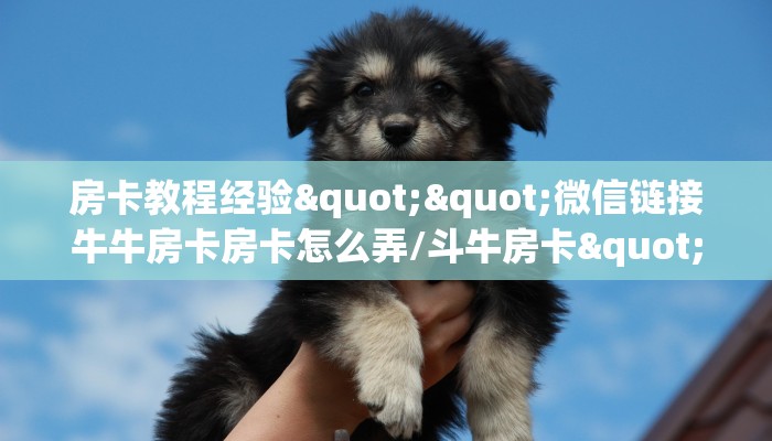 秒懂房卡“招财兔房卡”房卡如何充值