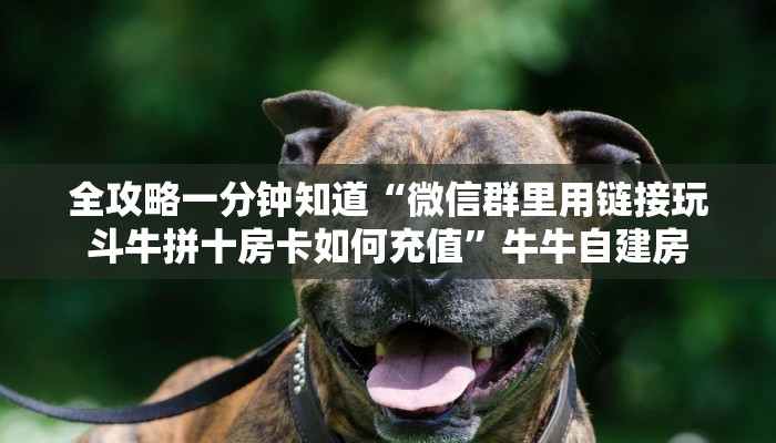 房卡教程经验“海螺互娱大厅房卡”获取房卡经验
