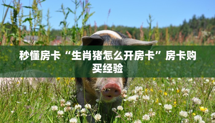 秒懂房卡“生肖猪怎么开房卡”房卡购买经验